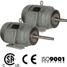 Worldwide Electric Close Coupled Motor TEFC 40 HP 3600 RPM 230/460V 324JP Frame C-Face w/ Feet PEWWE40-36-324JP