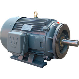 Worldwide Electric Corporation Severe Duty Motor 3PH 50HP 230/460V 3600 RPM TEFC 326TSC Frame PEWWE50-36-326TSC