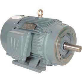 Worldwide Electric Premium Efficient Severe Duty Motor 20 HP 230/460V 256TC Frame PEWWE20-18-256TC