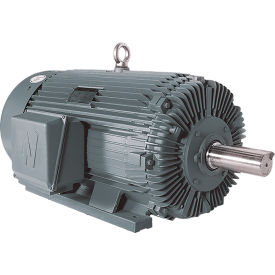 Worldwide Electric Premium Efficient Severe Duty Motor 250 HP 1800 RPM 449T Frame Rigid Base PEWWE250-18-449T-IB