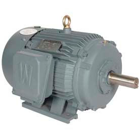 Premium Efficient Severe Duty Motor 40 HP 1200 RPM 230/460V 364T Frame Rigid Base PEWWE40-12-364T