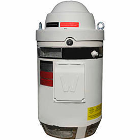 Worldwide Electric WPEVHS40-18-324TP-16.5 VHS Motor 40HP 1800RPM 324TP 230/460V WPI WPEVHS40-18-324TP16.5