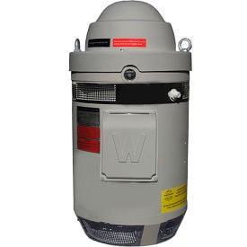 Worldwide Electric Vertical Hollow Shaft Motor 20