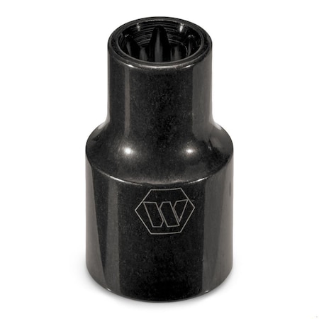 Socket 1/4