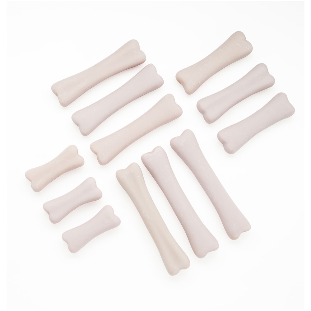 Yellow Door Dinosaur Bones 12-Piece Discovery Set, White, Pre-K MPN:YUS1038
