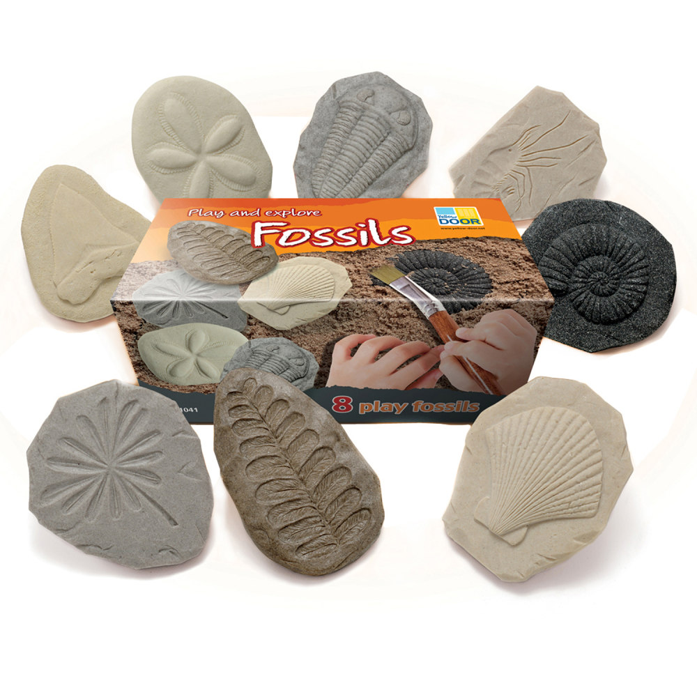 Yellow Door Lets Investigate Stones, Fossil, Pack Of 8 Stones MPN:YUS1041