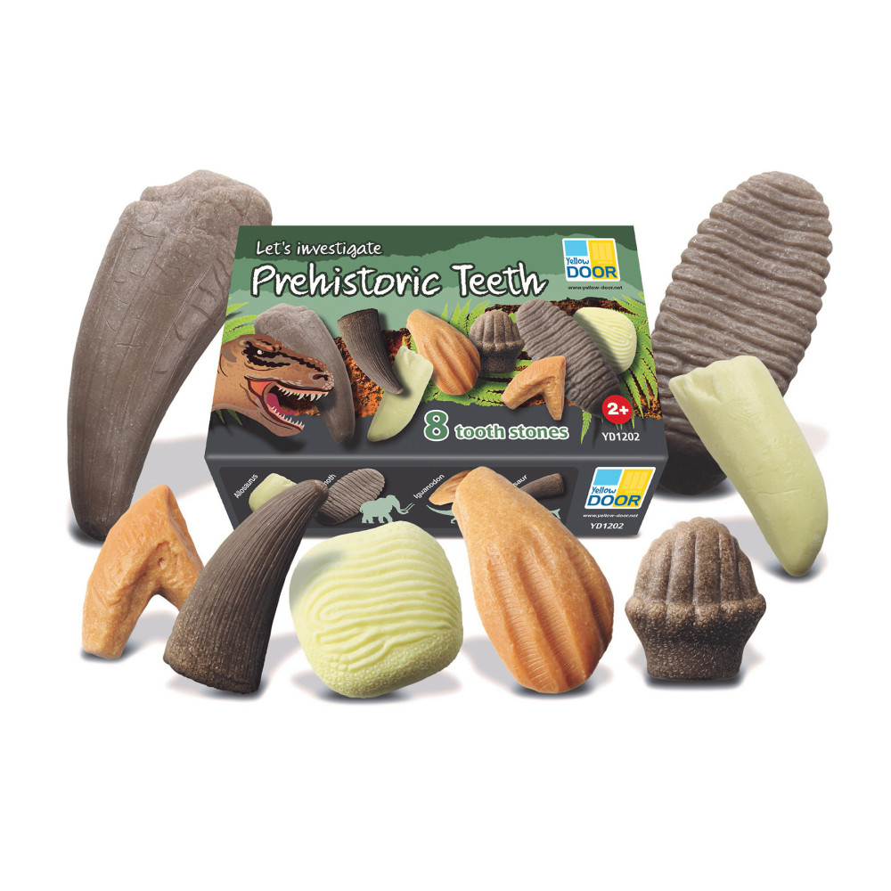 Yellow Door Lets Investigate - Prehistoric Teeth, Set Of 8 MPN:YUS1202
