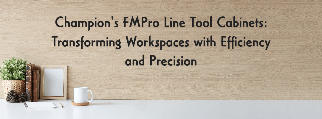 FMPro Line tool cabinets