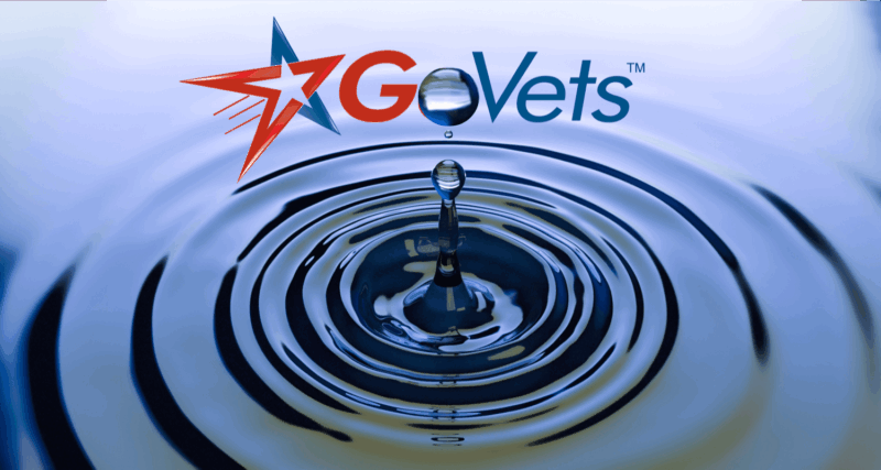GoVets - Socially Responsible Patriotic Business