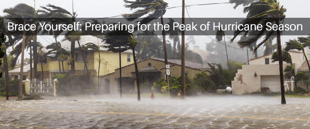 Preparing for the peak of hurricane season with GoVets